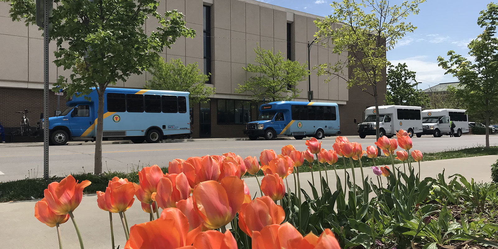 (c) Lawrencetransit.org