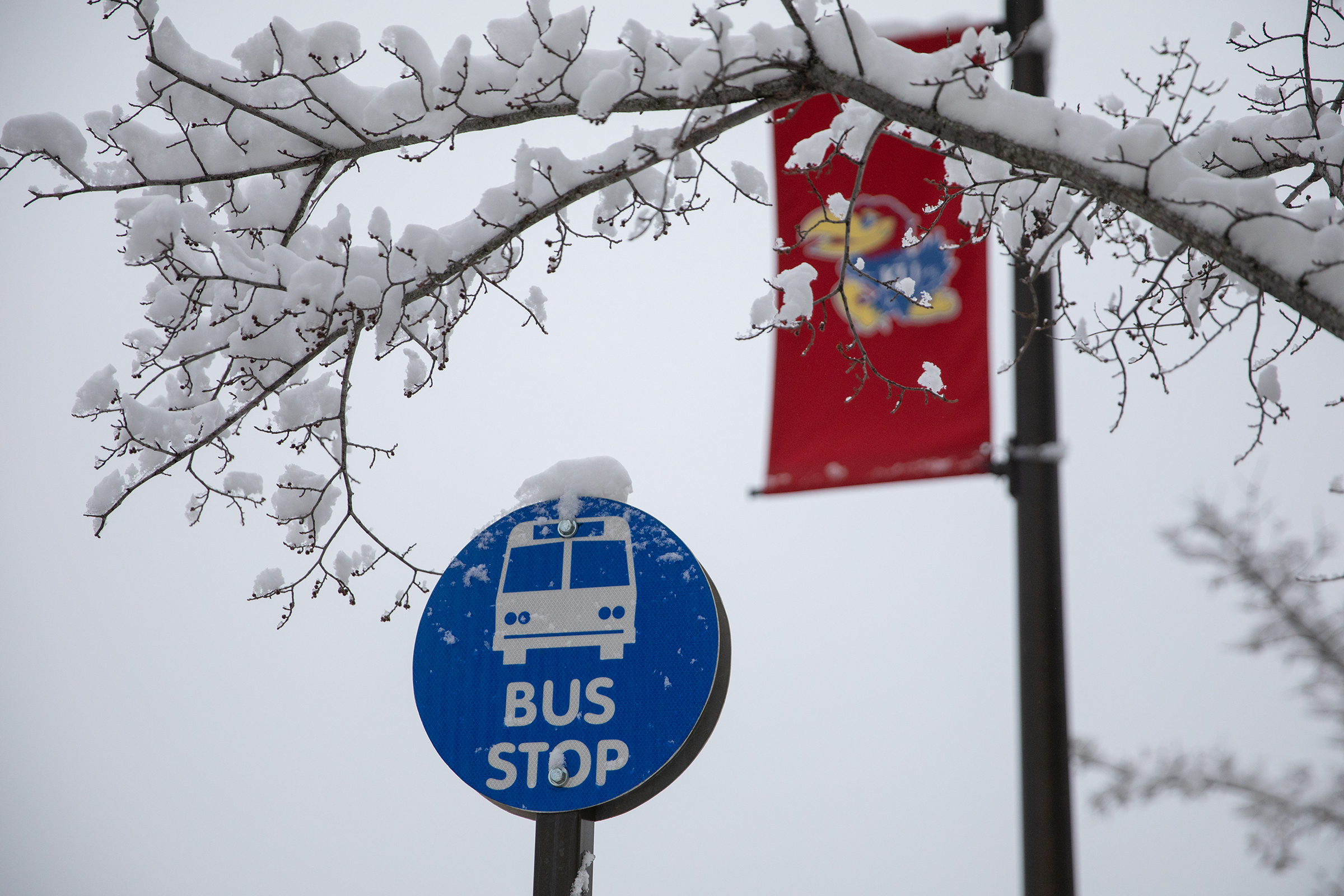 Featured image for “January 23-26: Winter weather cancellations for Lawrence Transit”